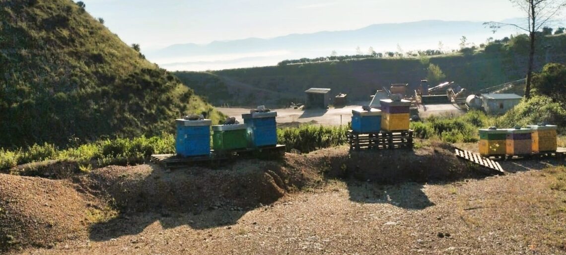 Api per il benessere delle cave: parte dall’Umbria progetto innovativo per il settore estrattivo