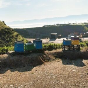 Api per il benessere delle cave: parte dall’Umbria progetto innovativo per il settore estrattivo